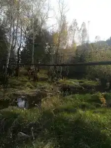 Тарелка - 3