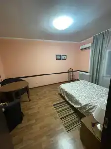 Астра - 33