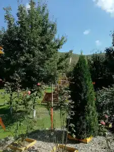 Райский уголок - 12