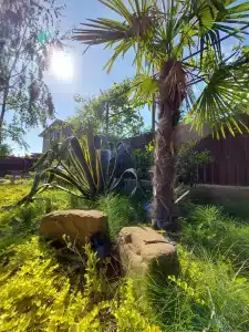 Дом Солнца - 14