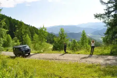 Альмон - 62