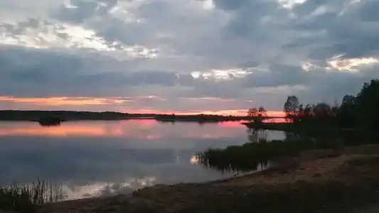 Объект 100 - 96