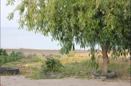 Фантазия - 23