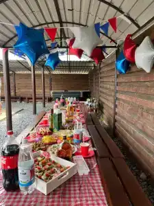 Камыши - 4