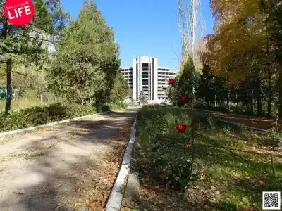 Алтын-Кёль - 2