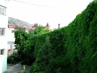 Аркадия - 10