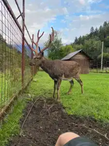 Солонечный - 7