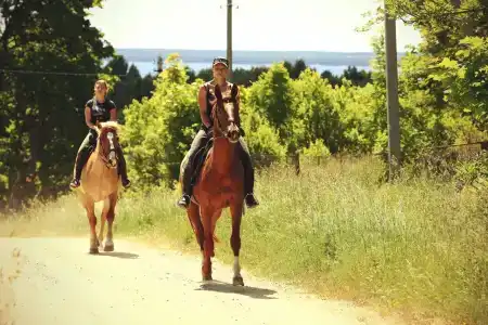 Здоровей - 54