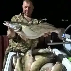 Промысловая - 66