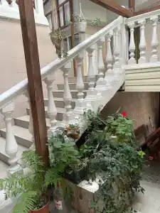 У Роберта - 16