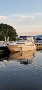 Бурдугуз - 73