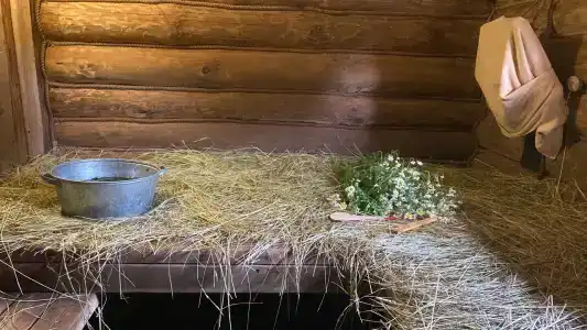 Медвежье урочище - 95