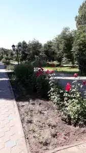 Светлана - 42