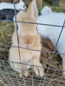 Александровский спас - 70