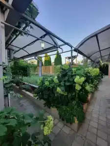 Морское Небо - 70