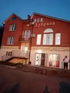 Дубрава - 17