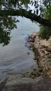 Пансионат Дельта - 86