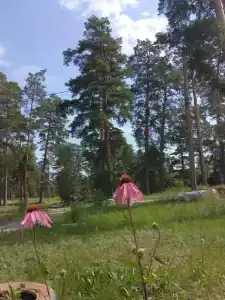 Солнечный мыс - 16