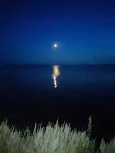 Разгуляево - 56