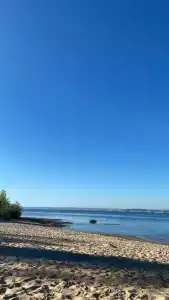 Волжанка - 12
