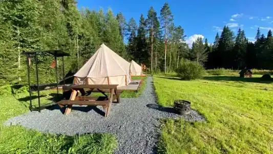 Лесная Поляна - 0