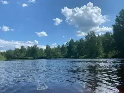 Орехово Лес - 25