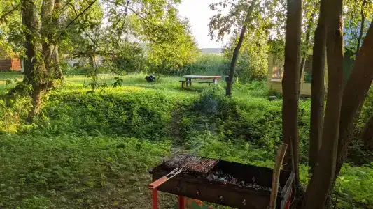 Спарта - 50