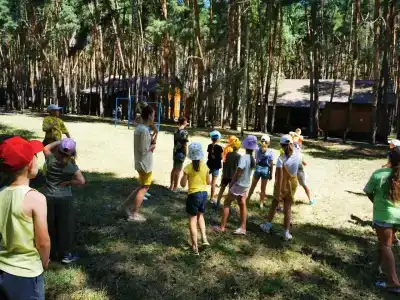 Сосновый бор - 20