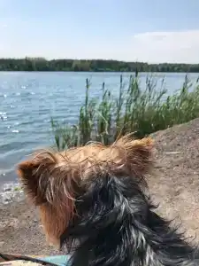 Голубая вода - 36