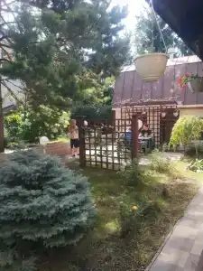 Старый Симбирск - 27