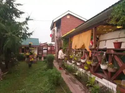 Незабудка - 0