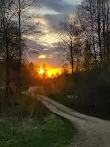 Удачное Кемп - 65