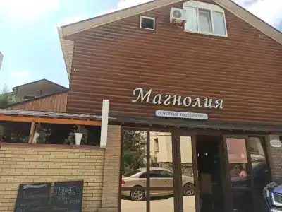 Магнолия - 1