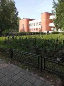 Лесное озеро - 10