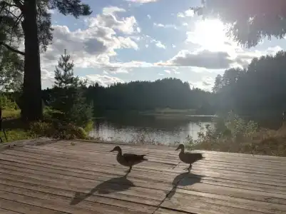 На Вотчине - 77