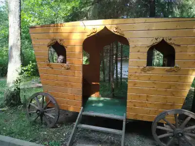 Хвойный бор - 29