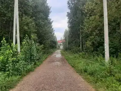 Вита - 13
