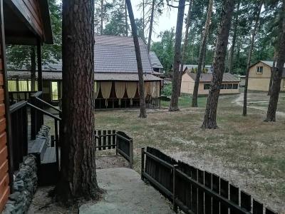 Жемчужина леса - 38