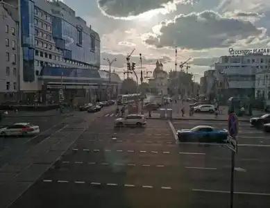 Земляника - 12