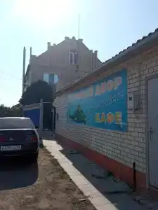У вертолета - 13