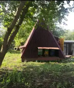 Благодарю - 0