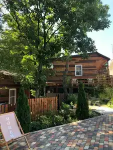 MoreWood - 41