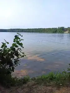 Остров - 33