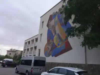 Чайка - 4