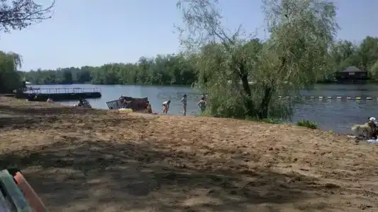 Бодрость - 98