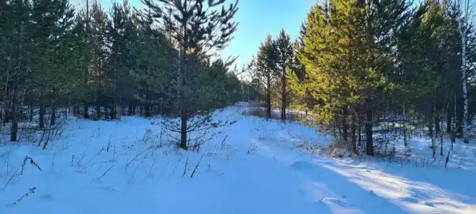 Красивое место - 14