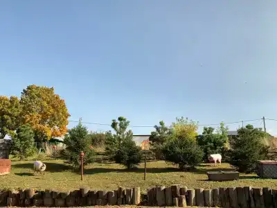 У Борисыча - 2