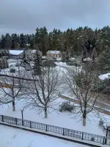 Богородское - 36