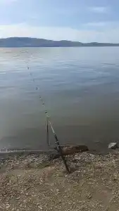 Пимеко - 10