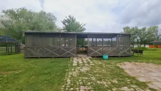 Розовый Фламинго - 10